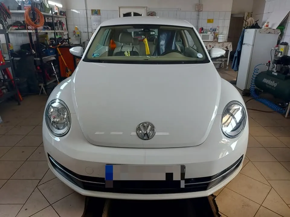 Galéria kép 13